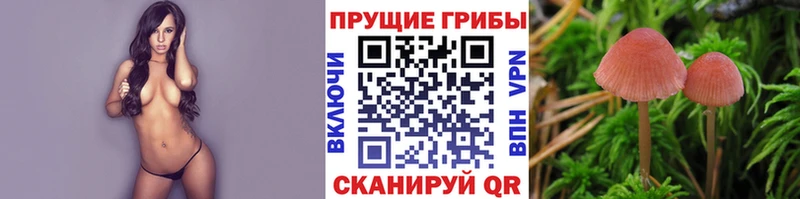 купить  сайты  мориарти состав  Псилоцибиновые грибы MAGIC MUSHROOMS  Ишимбай 