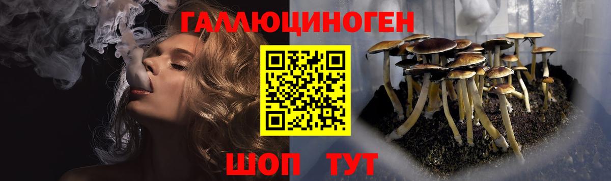 Псилоцибиновые грибы ЛСД  Вход с VPN  Ишимбай 